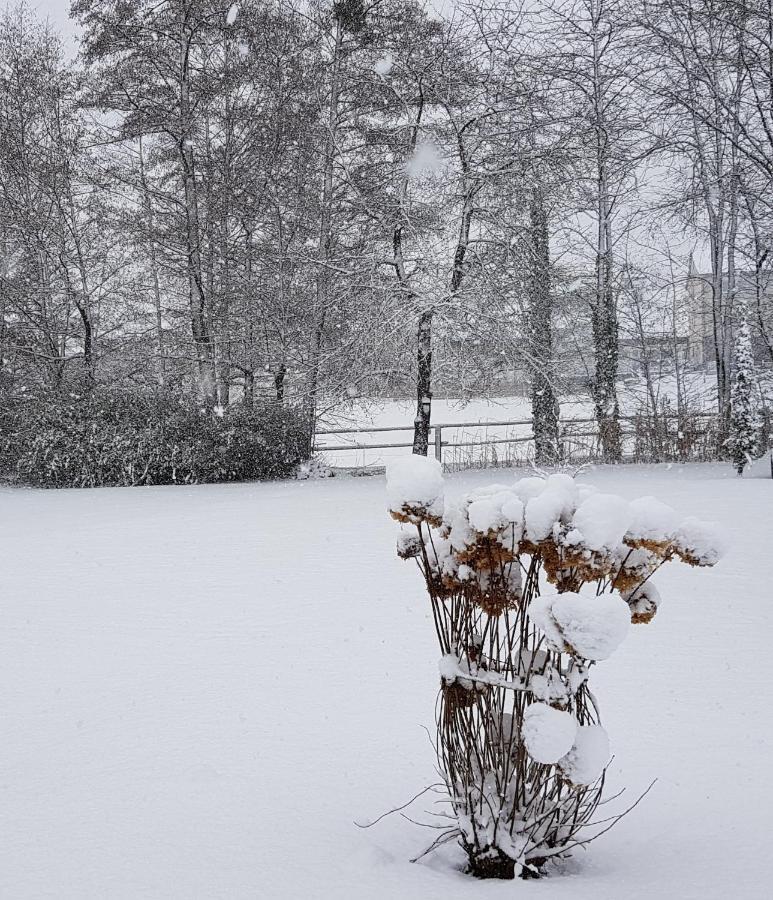 Finger'S Hyggelig-Haus Villa Erbach  Bagian luar foto