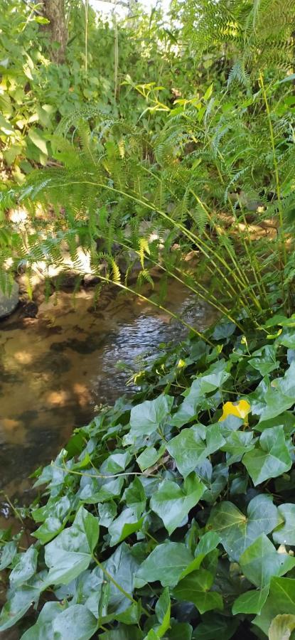 Finger'S Hyggelig-Haus Villa Erbach  Bagian luar foto